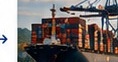 Shipment & Delivery
